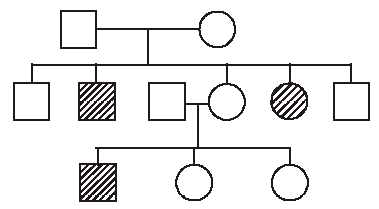 Principles of Inheritance and Variation mcq question image